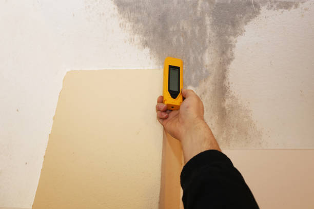 Best Biohazard Mold Removal  in Kimberly, AL