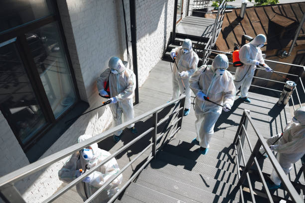 Best Real Estate Mold Inspection  in Kimberly, AL
