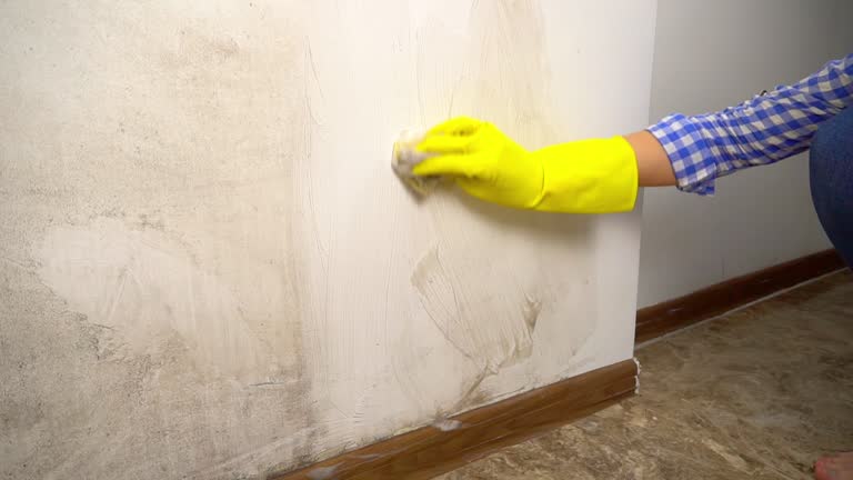 Best Forensic Mold Investigation  in Kimberly, AL