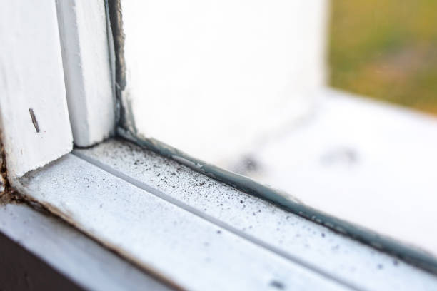Forensic Mold Investigation in Kimberly, AL