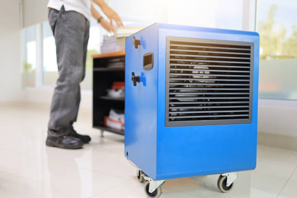 Best Residential Mold Inspection & Testing  in Kimberly, AL